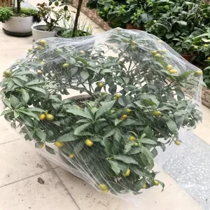 Nylon Heavy Duty Waterproof Mesh 20mm X 20mm Garden Trellis Net Easily Assembled for Agriculture Orchard Fruit Anti Bird