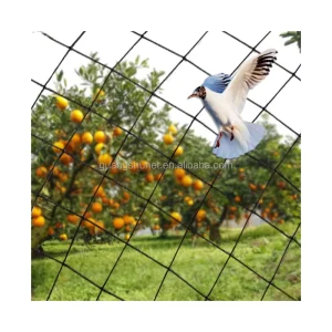 Nylon Mesh Anti Bird Netting Fruit Trees Net Garden Netting
