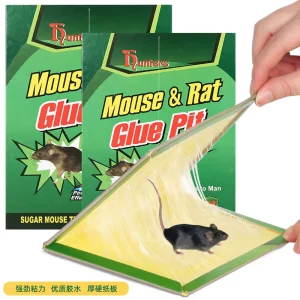 Paper Mouse Glue Trap with Strong Adhesion and Plus-Size Design for Pest Control