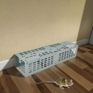 Perfect RT6 Eco Friendly Metal Mouse Trap for Mice Control Humane Snap Trap Durable Spring Arm Reusable Rodent Trapping Solution