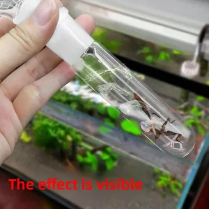Planarian Trap PP Model 1 Hole 2 Hole 3 Hole Designs High Transparency Aquarium Pest Control Device Safe Efficient Worm Grabbing