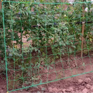 Plant Polyethylene Trellis Netting Outdoor Garden Supportive Vine Net for Climbing Plants