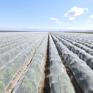 Plastic Mesh Bird and Insect Netting with Anti-Hail Protection for Agriculture and Greenhouse Crop Protection