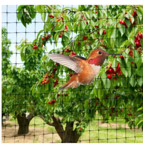 Plastic Stretched Bird Netting Agricultural Anti-Bird Netting Black or Grass Green for Garden Protection
