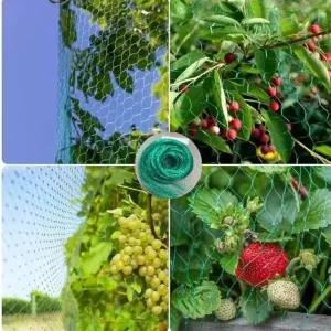Plastic Virgin HDPE Farm Protect the Plant Extruded Bird Nets Mono Anti Bird Netting