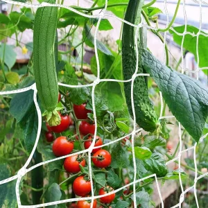 Polyester Plant Trellis Netting Square Mesh Net for Climbing Plants, Fruits, Vegetables, Vines, and Grow Tents