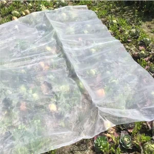 Polyester UV-Resistant Fruit Fly Insect-Proof Net for Agriculture