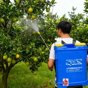 Rechargeable Lithium Battery Powered Electric Knapsack Backpack Sprayer for Pest Control