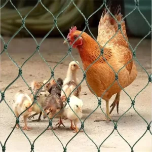 Solid Anti-Bird Garden Netting and Crop Protection Fencing Mesh for Deer, Cats, Dogs, Chickens, and Poultry