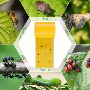 Solid Eco Friendly Waterproof Disposable Sticky Insect Tape for Flies & Moths Pest Control in Gardens & Trees