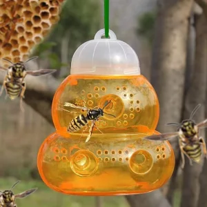 Solid Plastic Round Scentless Hanging Eco friendly Disposable Wasp Trap Live Catcher Bees Fruit Flies Pest Control