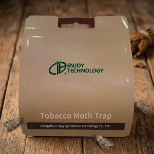 Solid Square Plastic Tobacco Moth Trap Eco Friendly Non Toxic Moth Pest Control