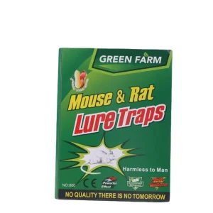 Solid State Eco Friendly Glue Trap for Mice & Rats Household Mouse Board Trap with Paper Design
