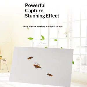 Spot Cockroach House Strong Sticky Continuous Trap 20 Sheets Household Indoor Use