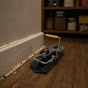 Steel Wire Rat Trap for Indoor and Outdoor Pest Control