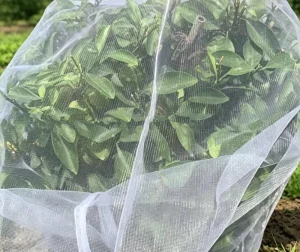 Sturdy Garden Insect Barrier for Outdoor Plant Protection