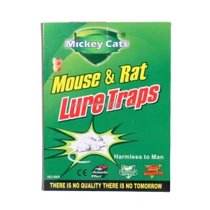 Super Strong Extra Large Mouse Board Genuine Bonding Household Control Trap Solid State Special Artifact for Catching Mice Rats
