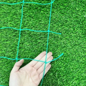 The Plant Climbing Net Is Suitable for Agriculture and Horticulture Farming. It Can Help Plants Grow Better