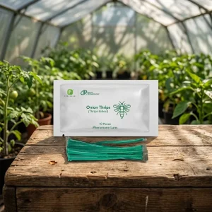 Thrips Tabaci Pheromone Lure Traps Eco Friendly Plastic Solid for Non Toxic Onion Thrips Pest Control
