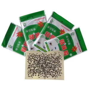 Top Ranking Products Killer Insect Fly Catcher Trap House Fly Glue Trap Insect Control >60 Pieces Disposable