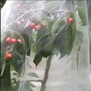 UV-Protected PE Insect and Anti-Pest Bird Netting for Greenhouse Vegetable Plants