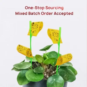 Waterproof UV-Resistant Double-Sided Disposable Sticky Insect Traps for Indoor and Balcony Use