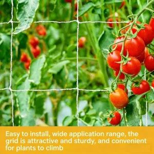 White Polyester Warp Knitted Square Mesh Plant Climbing Trellis Netting Cutting Service Knotless