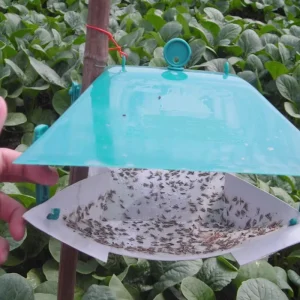 Wing Trap Control and Monitor for Moth Whitefly Beetle